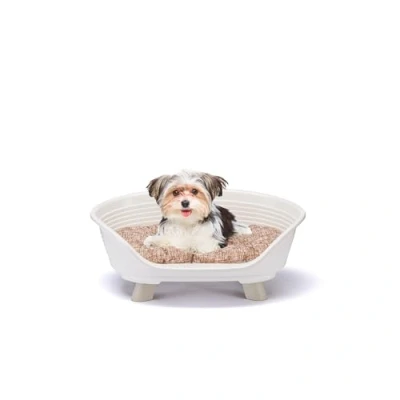 Afbeelding van Ferplast hondenbed &amp; kattenbed met katoenen kussen, verhoogd hondenbed, cPlastic klein, wasbaar, hondenmand, kattenmand, ademend en antislip, THRONE 61,5 x 45 h 26 cm, wit