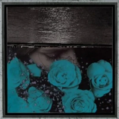 Afbeelding van Jessica Bailiff At The Down Turned Jagged Rim Of Sky (CD)