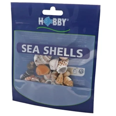 Afbeelding van Hobby Zeeschelpen Set, S, 20 Stuk
