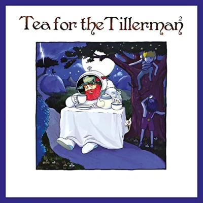 Afbeelding van Yusuf Islam (Cat Stevens) Tea For The Tillerman² (CD)