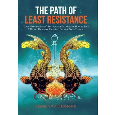 Afbeelding van The Path of Least Resistance