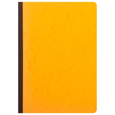 Afbeelding van Piqure 29.7x21 a tete paresseuse 5 colonnes sur 1 page 34 lignes 80pages