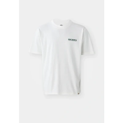 Afbeelding van Dickies Burns TEE Tshirt print, Heren, Maat: XXL, Egret