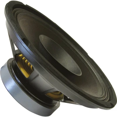 Afbeelding van Rockwood BLANKO PA Bas Fullrange 200 mm Gitaarluidsprekers, luidsprekers