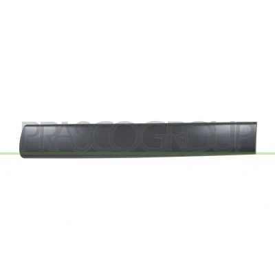 Afbeelding van Sier / beschermingspaneel, deur PRASCO PG9041454