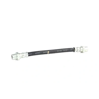 Afbeelding van Brembo Remslang T 06 031