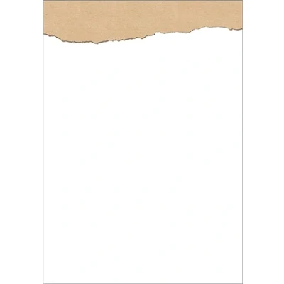 Afbeelding van SIGEL DP624 Hoogwaardig motiefpapier, printerpapier &quot;Torn kraft paper&quot;, A4, 100 vellen, motief aan beide zijden, 90 g/m², wit/beige, van duurzaam papier