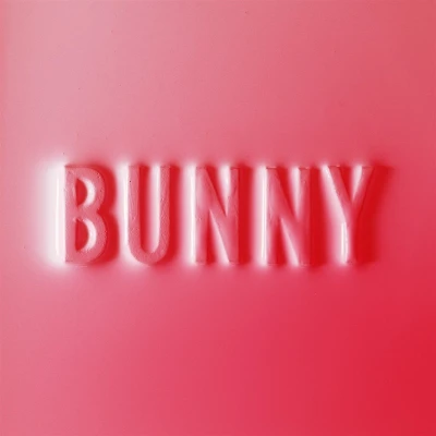 Afbeelding van Matthew Dear Bunny