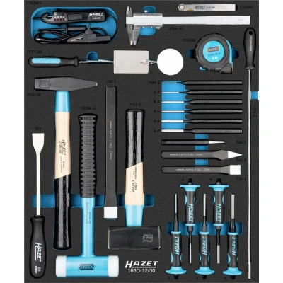 Afbeelding van HAZET Gereedschapset 163D 12/30 · 30 delig