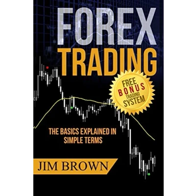 Afbeelding van FOREX TRADING: The Basics Explained in Simple Terms: 1
