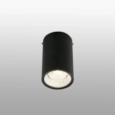 Afbeelding van Faro Lighting Rel LED 1 Licht Ronde Opbouw Downlight Zwart