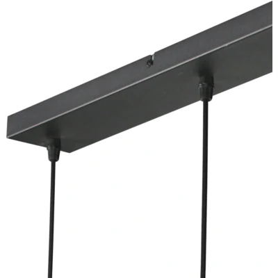 Afbeelding van Steinhauer 5 lichts hanglamp HaloSwap zwart met smoke glas 4280ZW