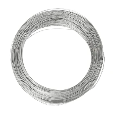 Afbeelding van 1 STKS 10 M Rvs Lente Draad Harde Enkele Volledige 0.3 3 MM Staaldraad (1.2 MM)