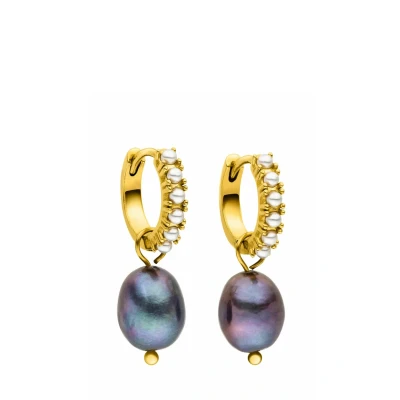 Afbeelding van Purelei Pearly Oorbellen, Dames, Maat: One Size, Goldfarben