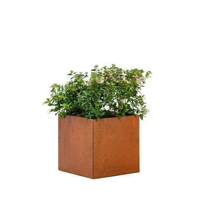 Afbeelding van Cortenstaal Bloembak Hudson klein 50x50x50cm