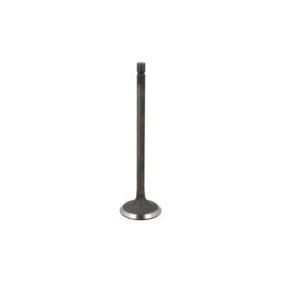 Afbeelding van Inlaatklep FRECCIA R6769/SNT