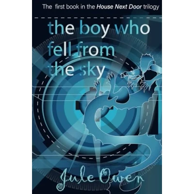 Afbeelding van the Boy Who Fell From Sky
