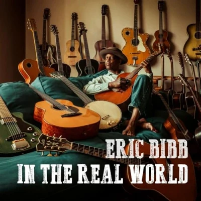 Afbeelding van Eric Bibb In the Real World (LP)