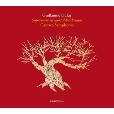 Afbeelding van Cantica Symphonia, Giuseppe Maletto Dufay: Supremum Est Mortalibus Bonum (CD)