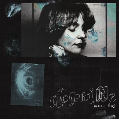 Afbeelding van Mega Bog Dolphine (LP)
