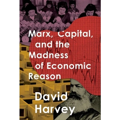 Afbeelding van Marx, Capital, and the Madness of Economic Reason