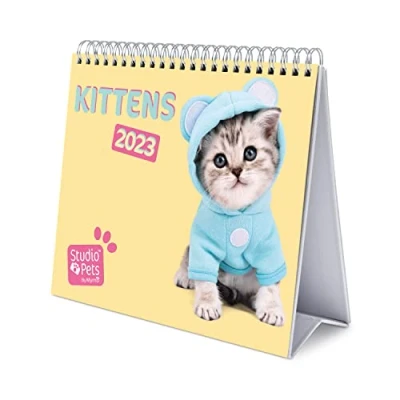 Afbeelding van Grupo Erik CS23012 Kalender 2023 Studio Pets Cats Bureaukalender 12 maanden met fsc certificaat,18x20