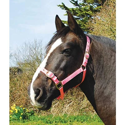 Afbeelding van Rhinegold Nylon Halster Vol Roze