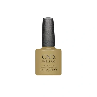Afbeelding van Shellac Gilded Sage