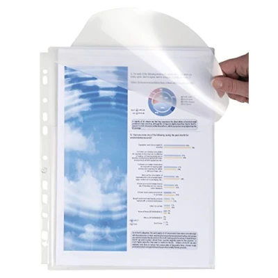 Afbeelding van Exacompta Ref 5502E PP uitbreidende geperforeerde zakken Geschikt voor het vasthouden van A4 documenten, 25 mm Gusset &amp; Flap, gemaakt 200 Micron Polypropyleen Transparant (Pack 50)
