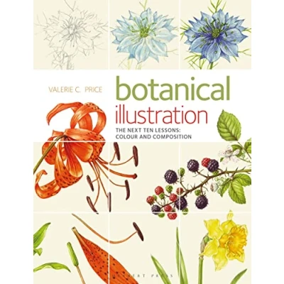 Afbeelding van Botanical Illustration the Next Ten Lessons: Colour and Composition