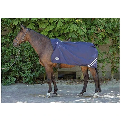 Afbeelding van Harry&#039;s Horse Uitrijdeken 0gr waterdicht met fleece voering S Kleurloos
