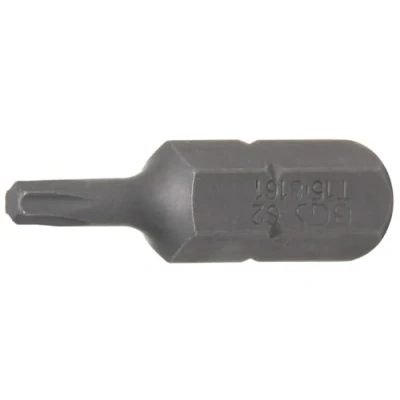 Afbeelding van BGS 8161 Bit 8 mm (5/16&quot;) buitenzeskant T profiel (voor Torx) T15