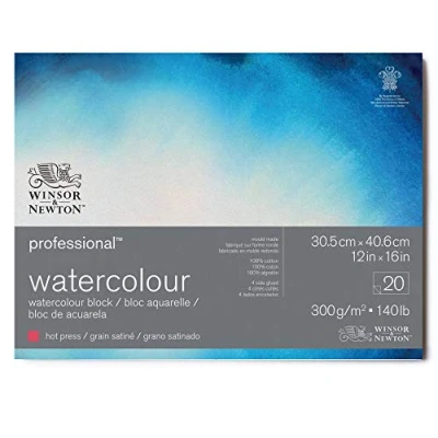 Afbeelding van Winsor &amp; Newton 6664008 Professioneel aquarelpapier in blok 20 vellen 30,5 x 40,6 cm, 300 g/m², gesatineerd, helder natuurlijk wit papier archiveerbare kwaliteit, bestand tegen vergeling