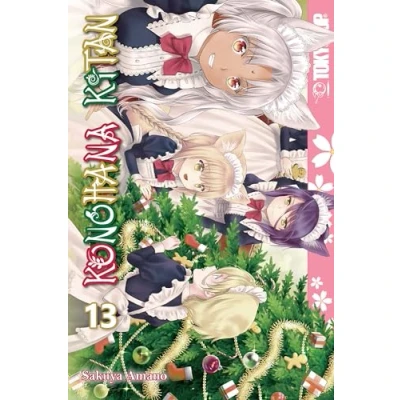 Afbeelding van KONOHANA KITAN 13: Volume 13