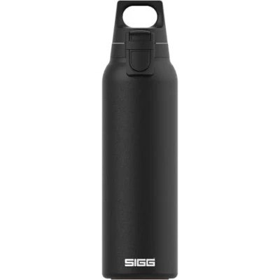 Afbeelding van SIGG Geïsoleerde drinkfles Thermosfles Hot &amp; Cold One Met theezeef Lekvrij BPA vrij 18/8 roestvrij staal 0,55 L