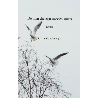Afbeelding van De man die zijn moeder miste
