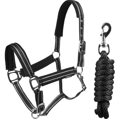 Afbeelding van Horka Halsterset Deluxe Zwart/Zilver Cob