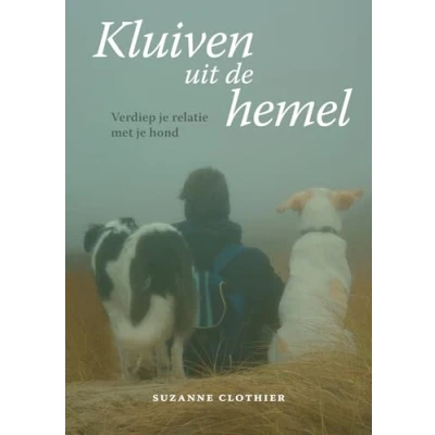 Afbeelding van A3 Boeken Kluiven uit de hemel (1 st)