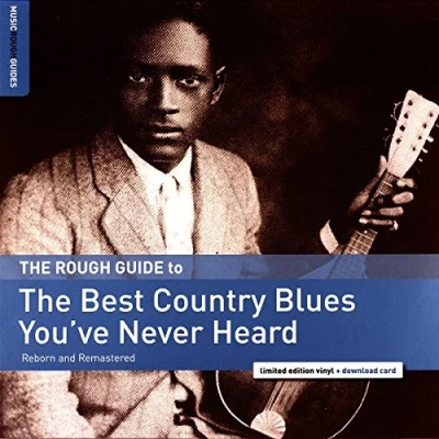 Afbeelding van Various Artists The Rough Guide to Best Country Blues You&#039;ve Never Heard (LP)
