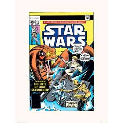 Afbeelding van STAR WARS 11 SEARCH Art Print 30x40 cm