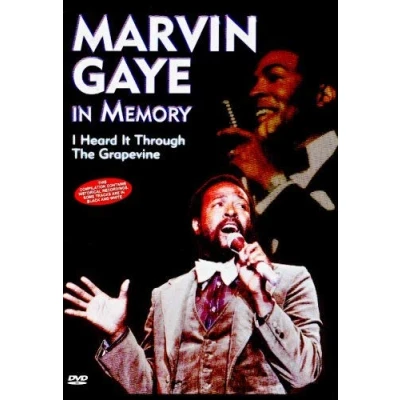 Afbeelding van Marvin Gaye In Memory