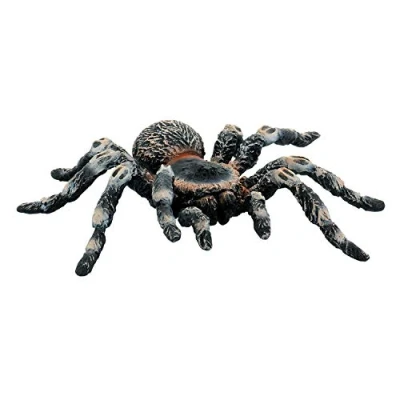 Afbeelding van Bullyland 68457 speelfiguur witte knie vogelspin, ca. 8,5 cm grote dierenfiguur, detailgetrouw, PVC vrij, ideaal als klein cadeau voor kinderen vanaf 3 jaar