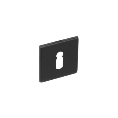 Afbeelding van Intersteel Rozet vierkant met sleutelgat plat verdekt 50x5mm RVS/mat zwart