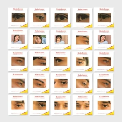 Afbeelding van John Cale The Academy In Peril (LP)