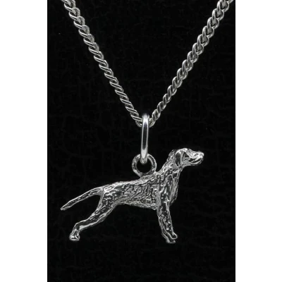 Afbeelding van Zilveren Spinone met staart ketting hanger klein