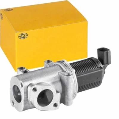 Afbeelding van Hella EGR klep 6NU 010 171 331