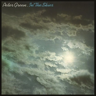 Afbeelding van Peter Green In the Skies (LP)