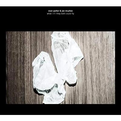 Afbeelding van Evan Parker &amp; Joe McPhee What / If They Both Could Fly (CD)
