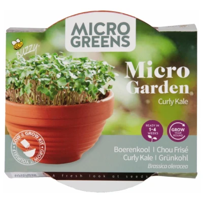 Afbeelding van Buzzy Microgreens Terra Schaaltje Boerenkool