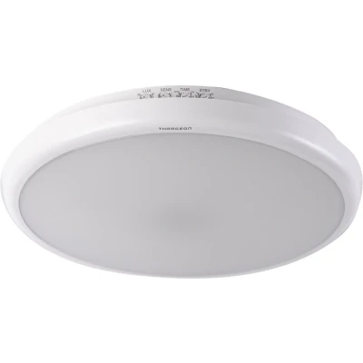 Afbeelding van Thorgeon LED ceiling light 16W 4000K met beweging sensor